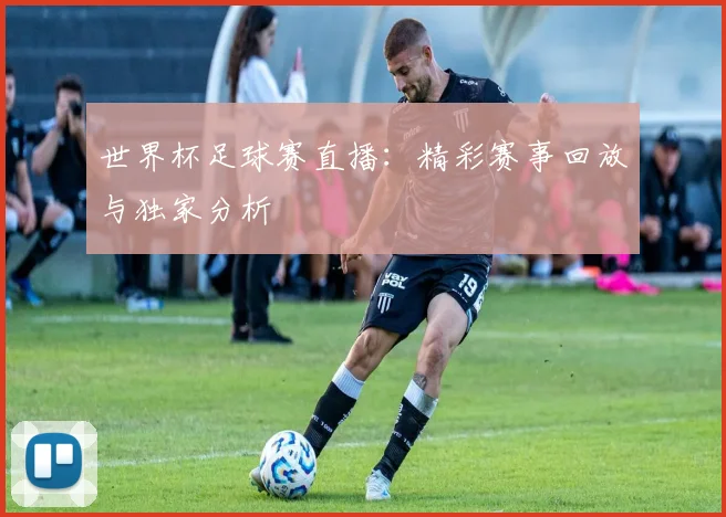 世界杯足球赛直播：精彩赛事回放与独家分析