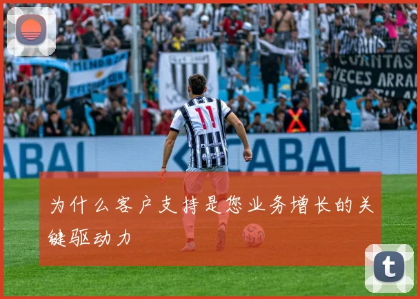 为什么客户支持是您业务增长的关键驱动力